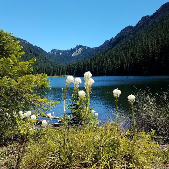 Mt. Jefferson - Pamelia Lake Trailhead