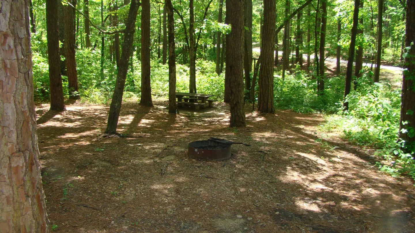 Jeff Busby Campground, Milepost 193.1