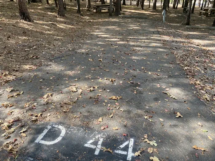 D44