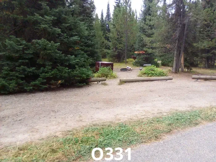 331