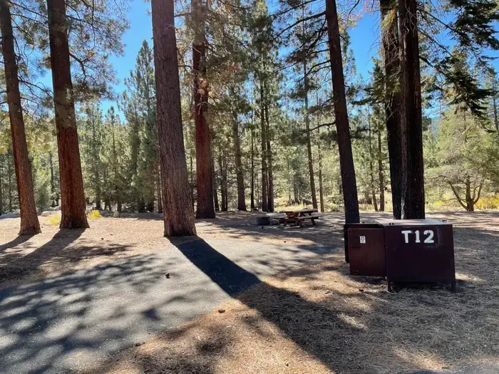 Tent N12