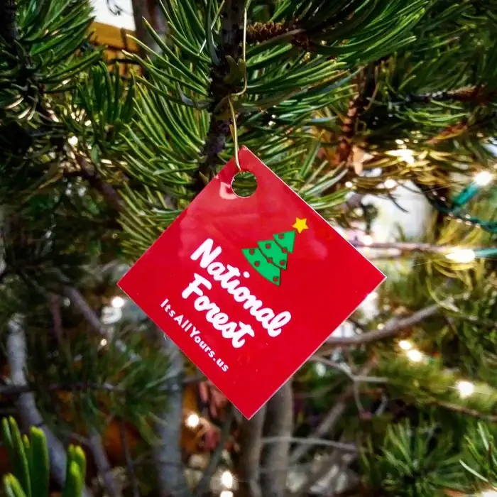 Gila National Forest Christmas Tree Permit