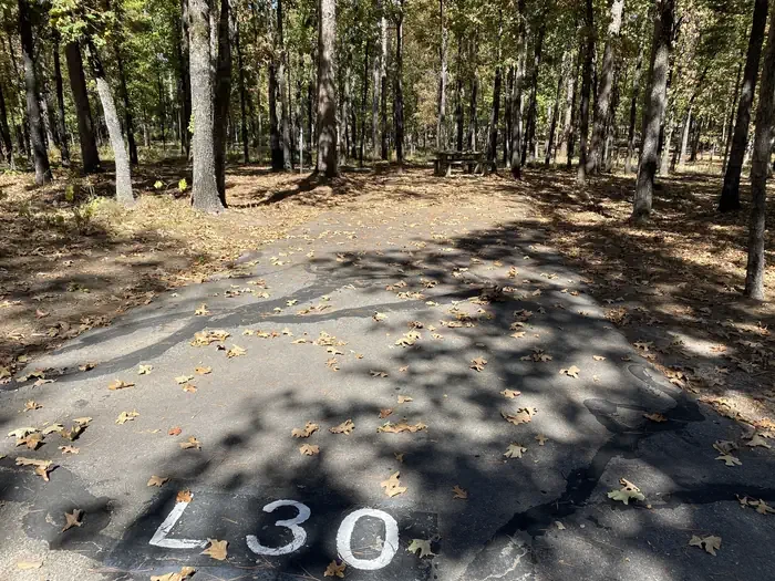 L30