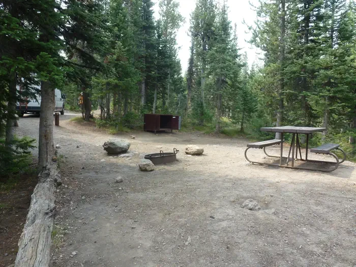 Lewis Lake site #31