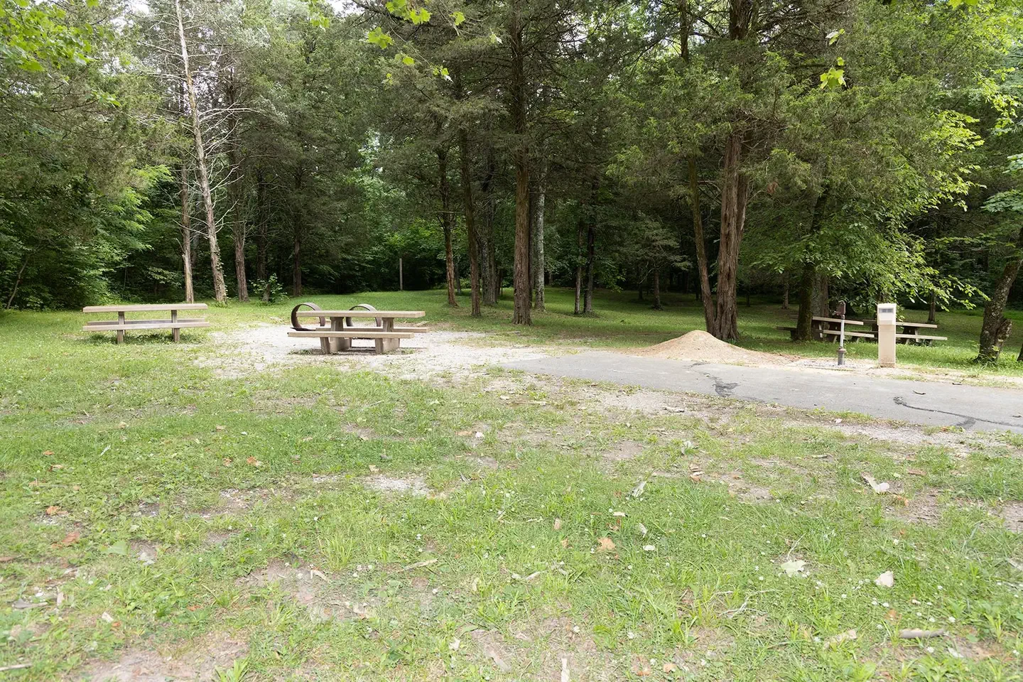 Maple Springs