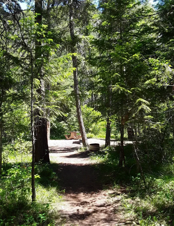 Trout Creek Campground (MT)