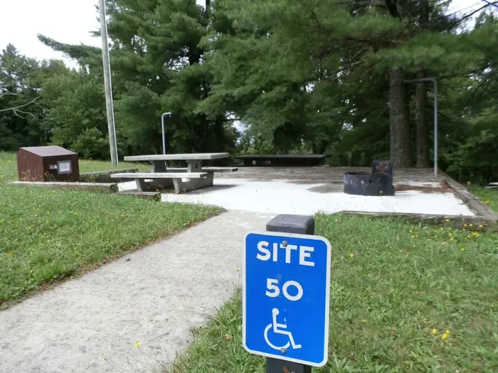 B50