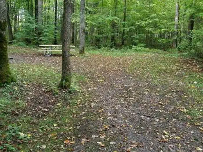P37