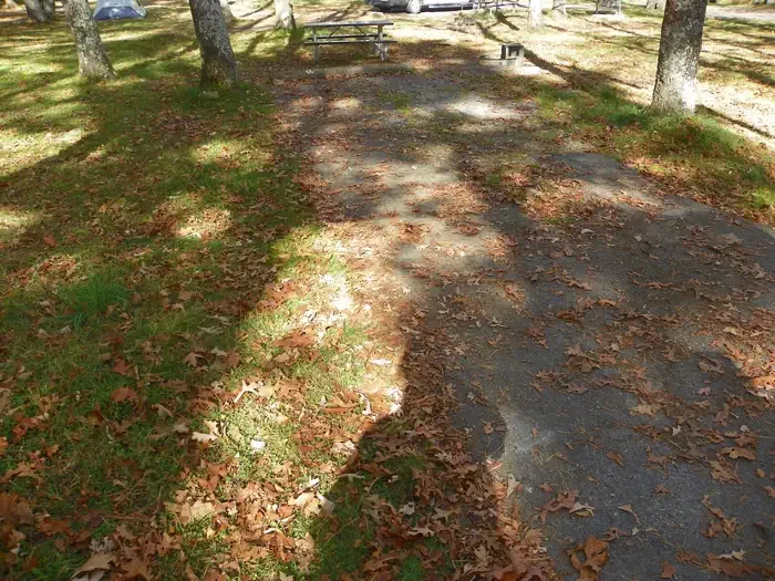 I228