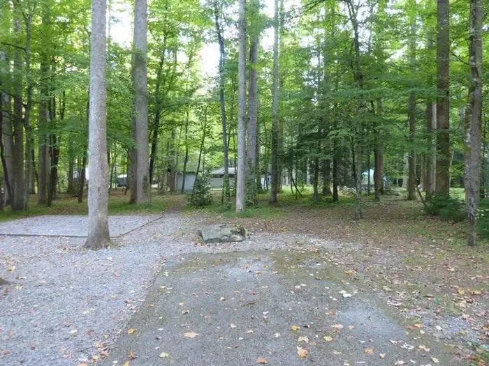 E06