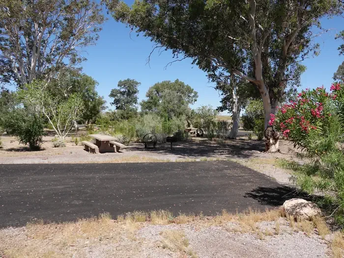 Site 12