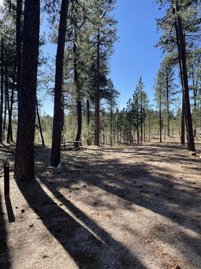 Bearlodge Campground
