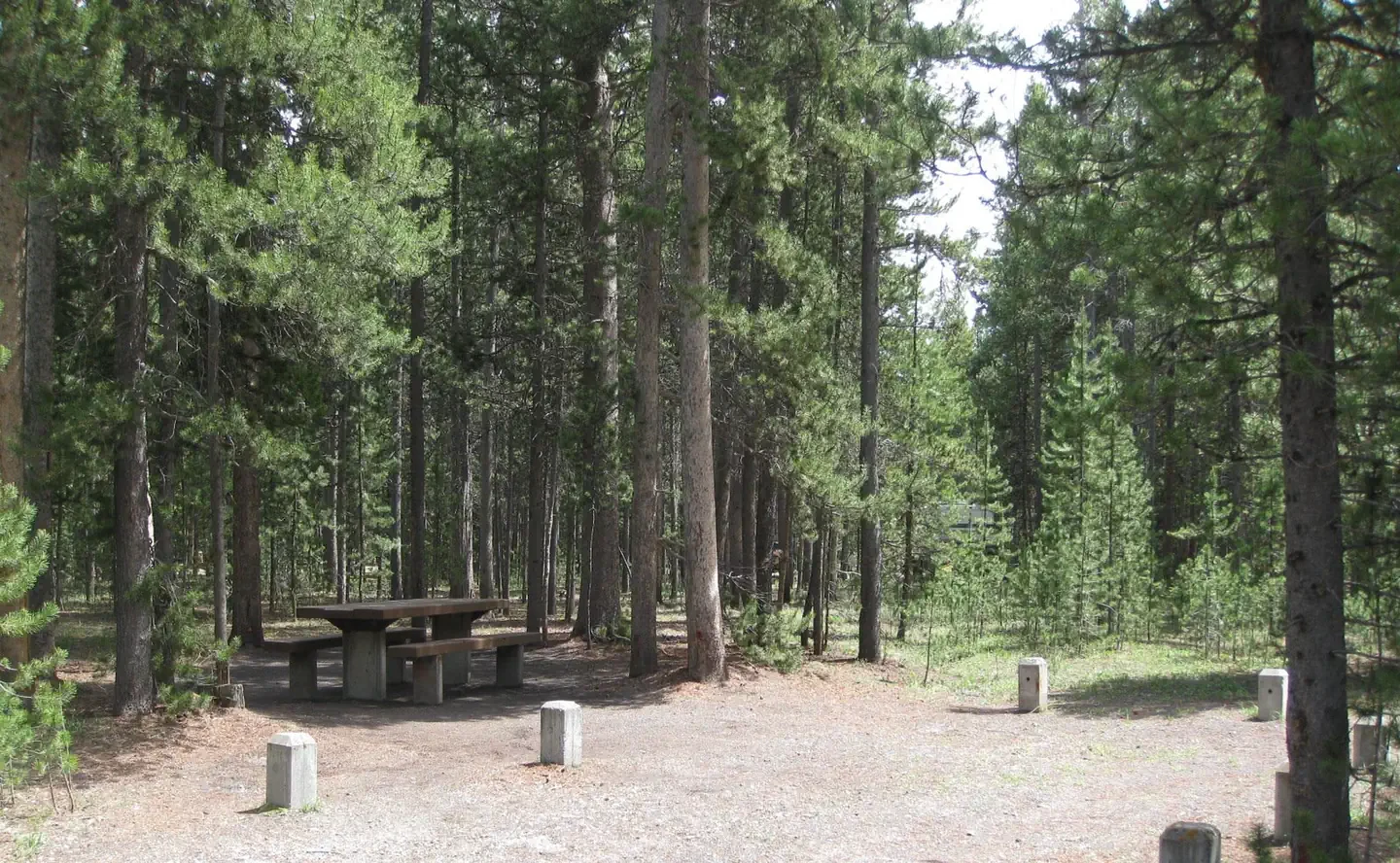 C20