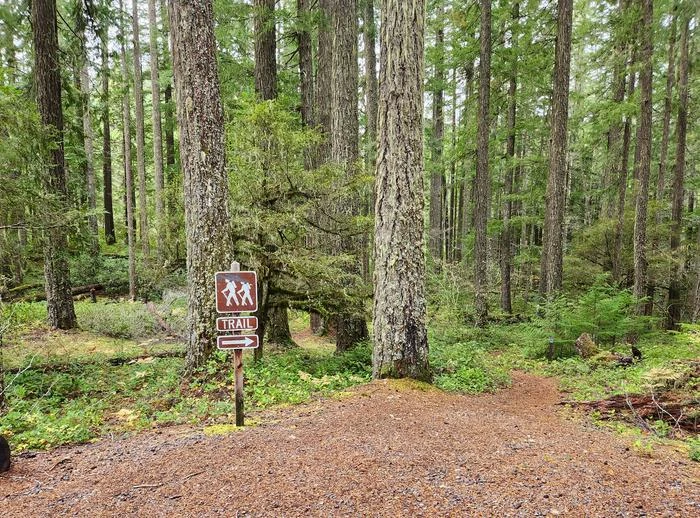 Lake In The Woods Campground