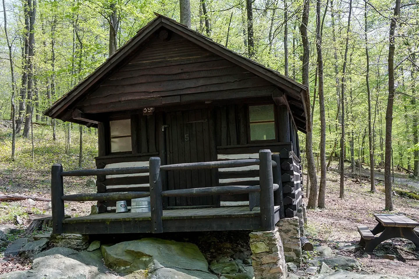 Cabin 39