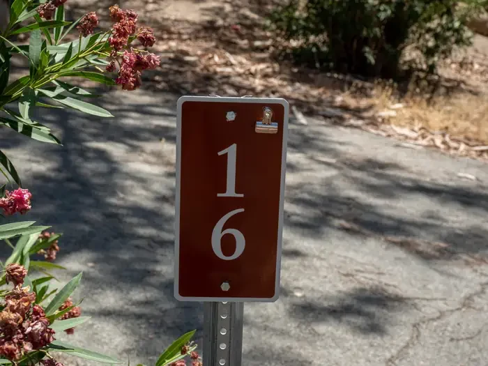 Site 16