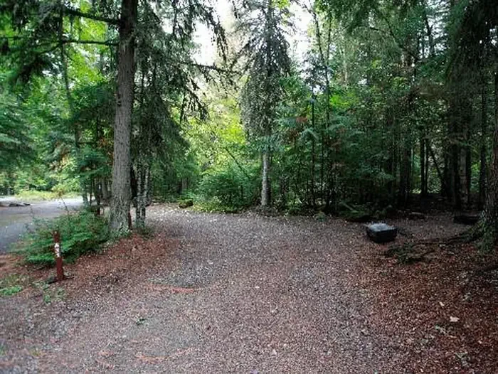 A31