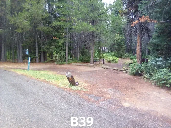 39