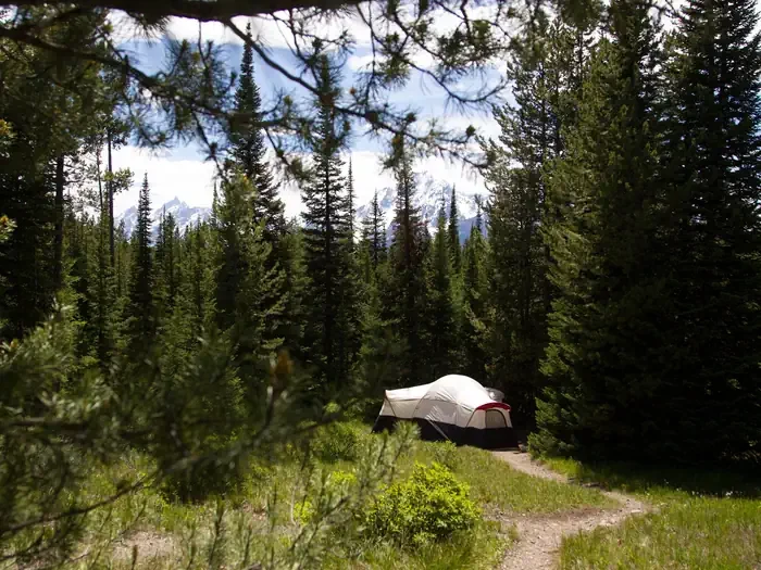Colter Bay Campground