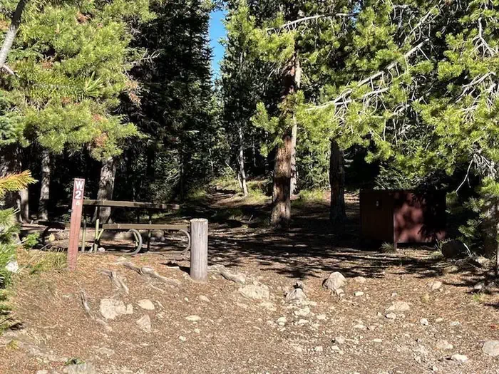 Lewis Lake site #2