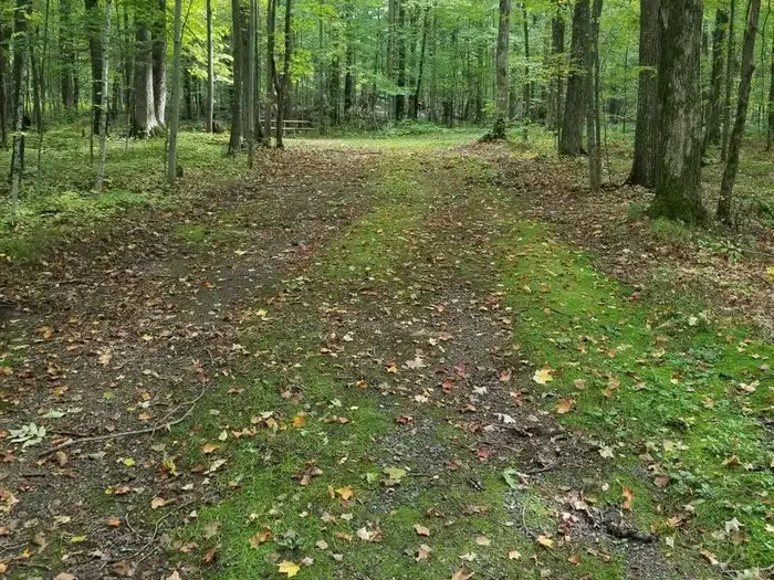 S48