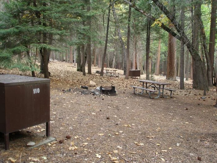 Site: 110