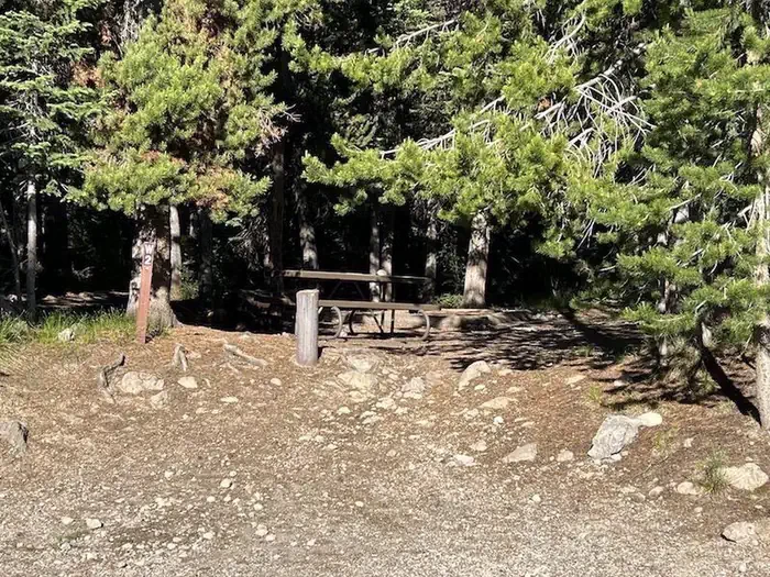 Lewis Lake site #2