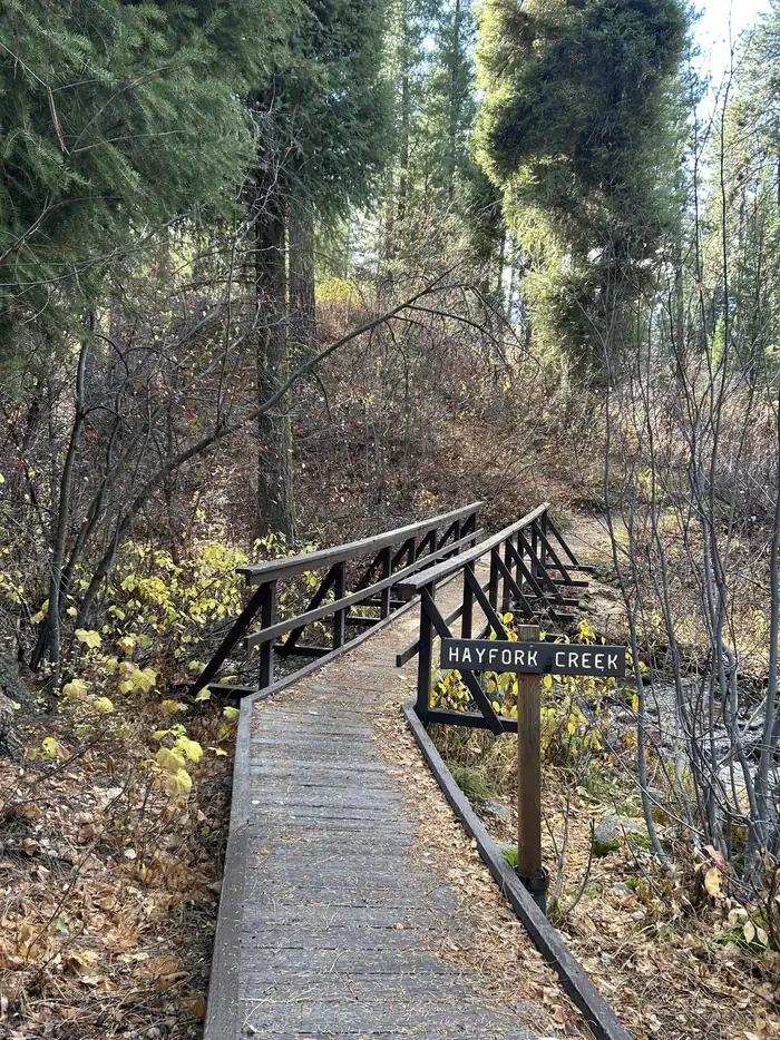 Hayfork Group Cg