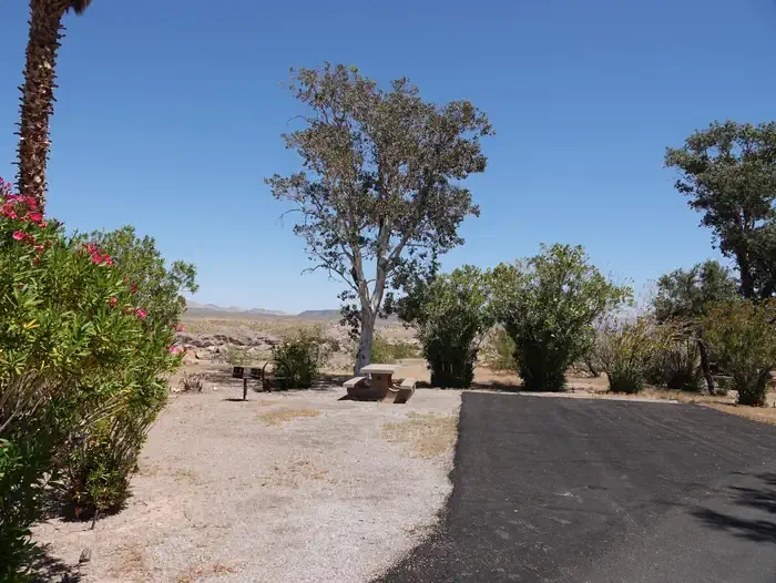 Site 54