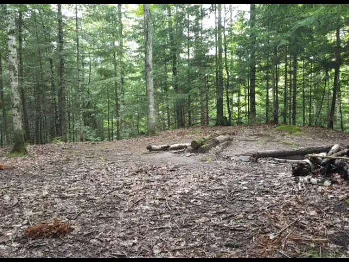 DEER-2