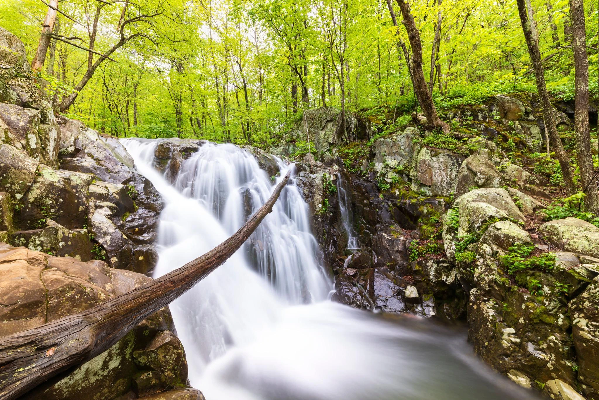 Shenandoah National Park