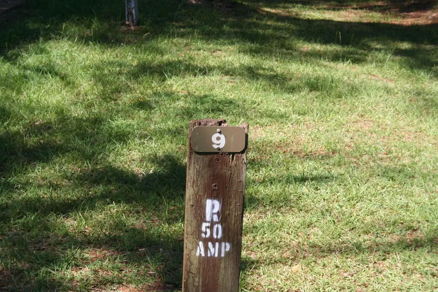 009
