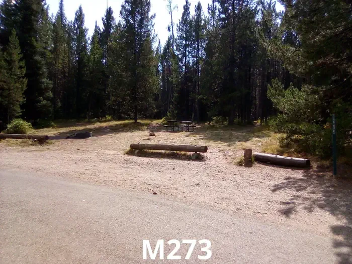 273