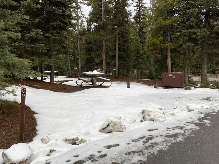 Lewis Lake site #46