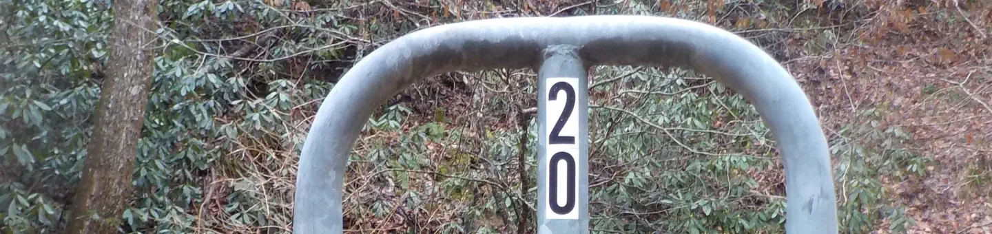 020