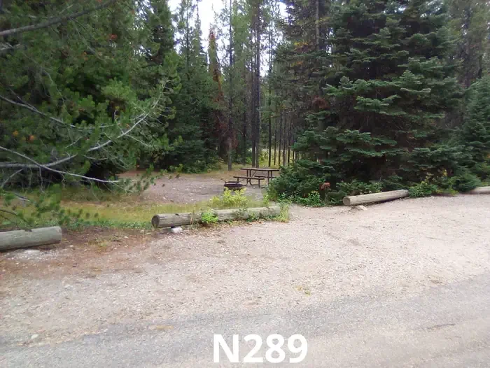 289