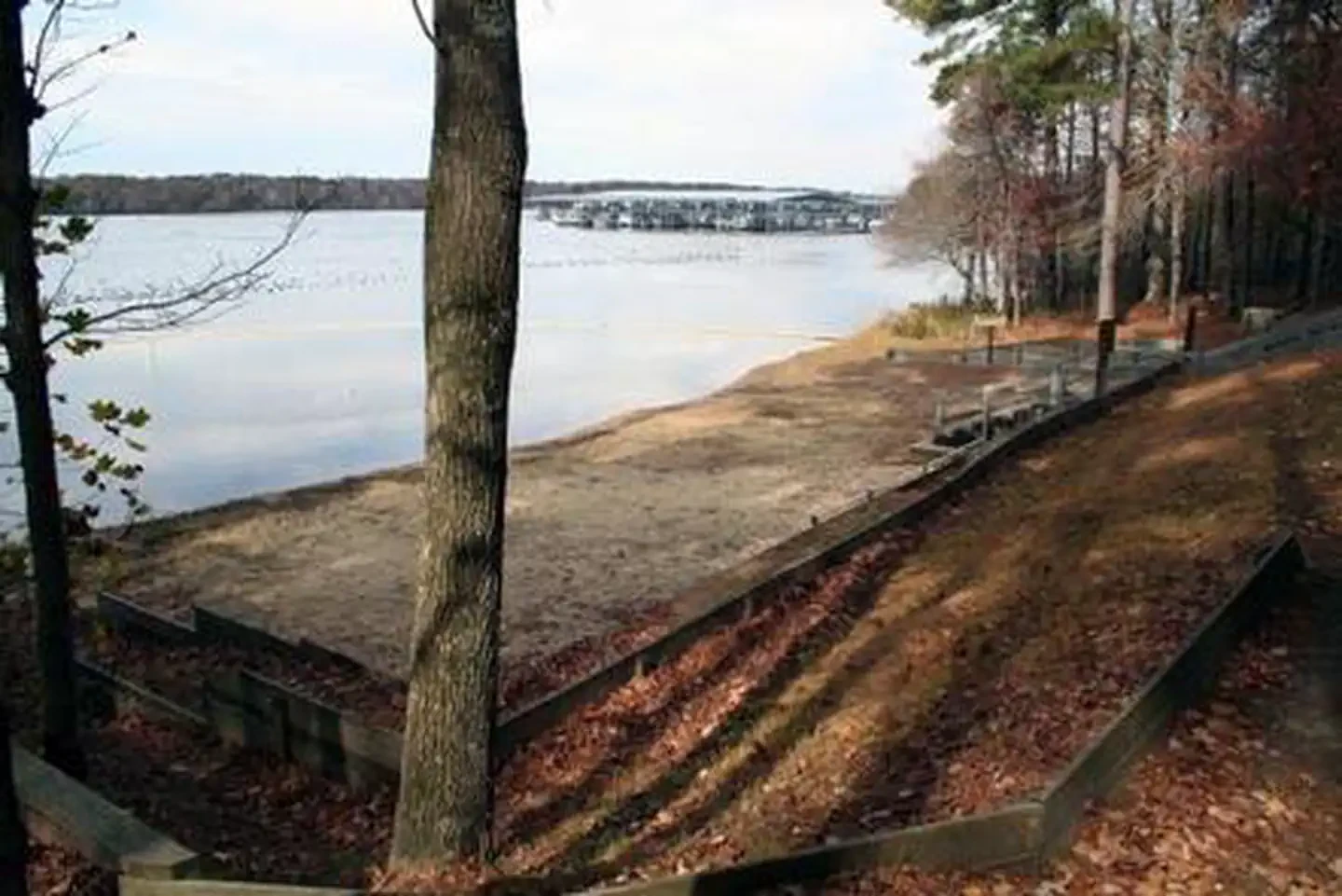 Whitten Park
