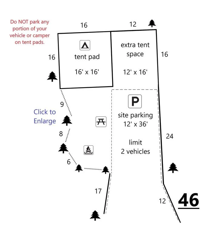 46