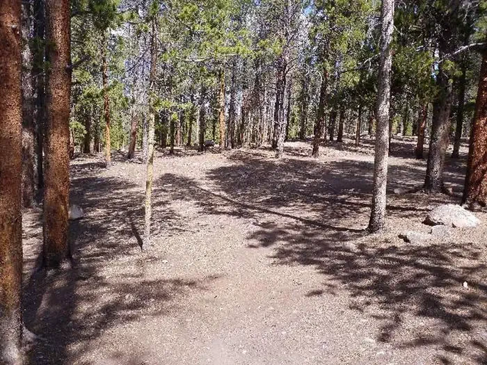 GR1