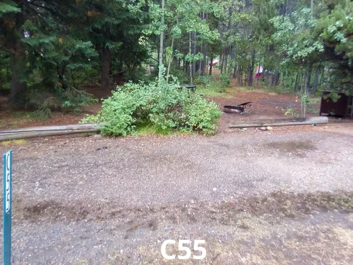 55