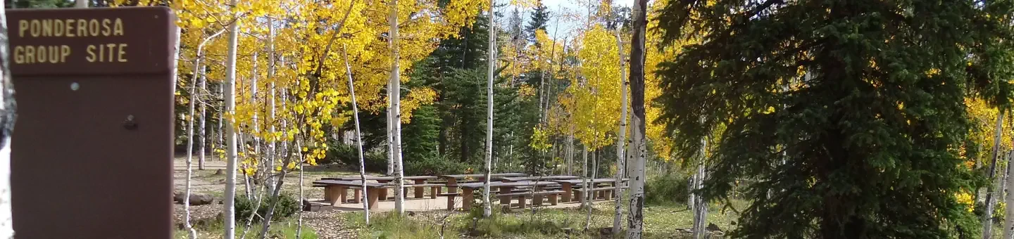 Ponderosa Group