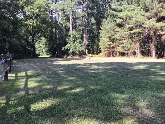 Site 01- Group