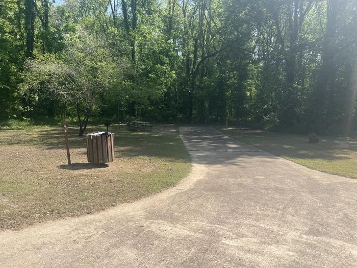 Site 42