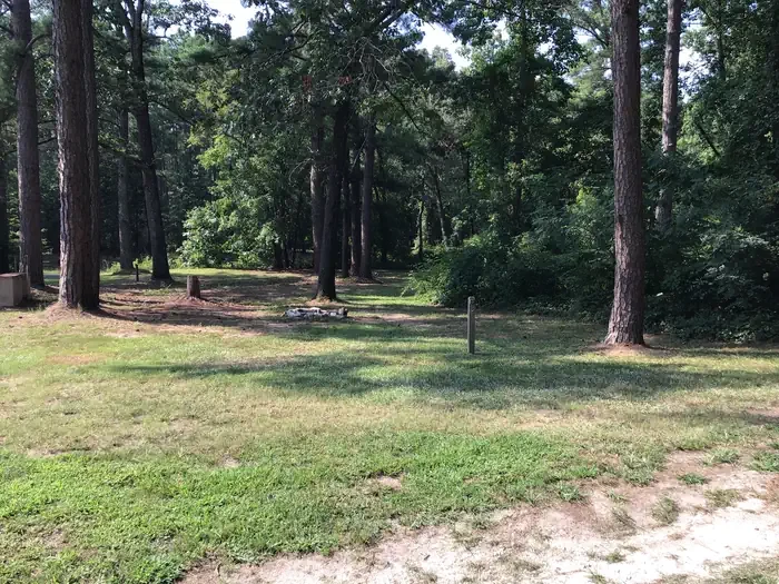 Site 03