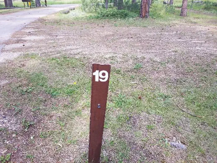 019