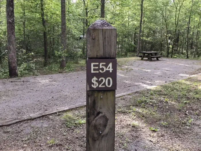 54