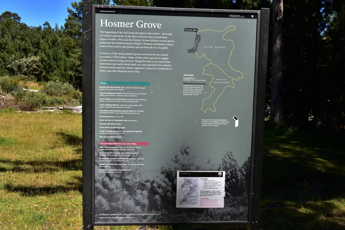 Hosmer Grove Campground
