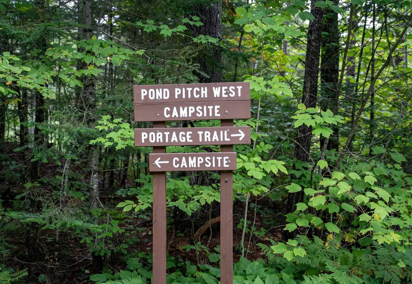 Pond Pitch