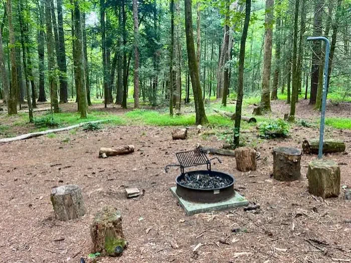 Basin Cove Backcountry Camping