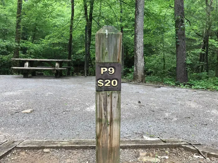 09